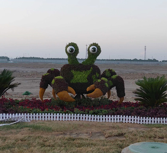 洛陽五色草動物造型