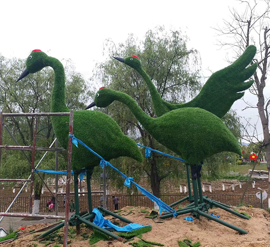 甘肅 五色草動物造型