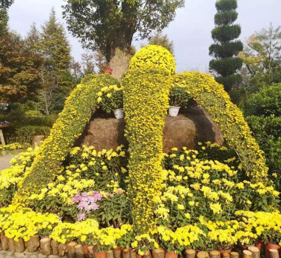 景德鎮(zhèn)精品菊花造型