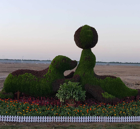 河北專業(yè)菊花造型制作